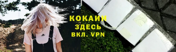 твердый Нефтегорск