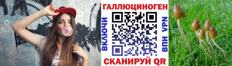Галлюциногенные грибы Psilocybe  наркошоп  Суоярви 